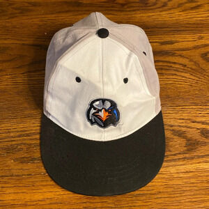 Aberdeen Ironbirds baseball hat